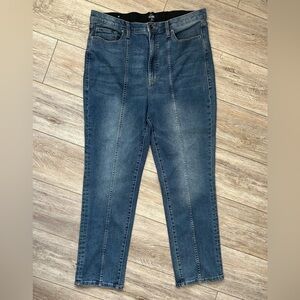 Lularoe Straight Leg Seamed Denim size 34